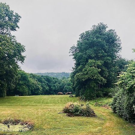 Chateau Ville Voisin Augan Eksteriør billede